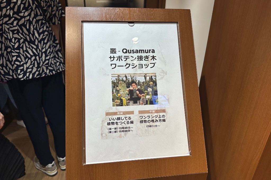 叢 - Qusamura サボテン接ぎ木ワークショップ【中級】のレポート